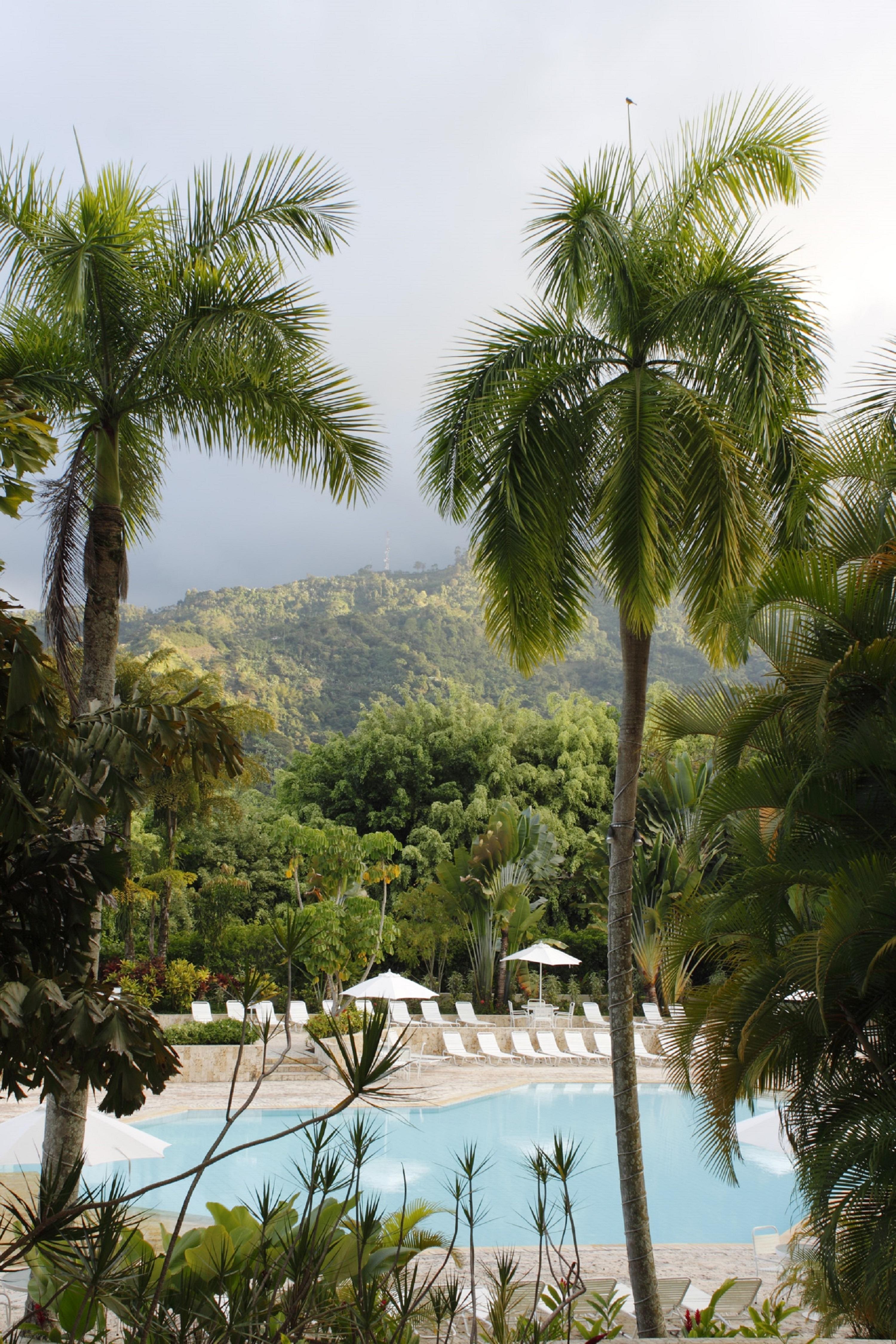 Hotel Estelar Altamira Ibagué Extérieur photo Tropical rainforest in Hawaii